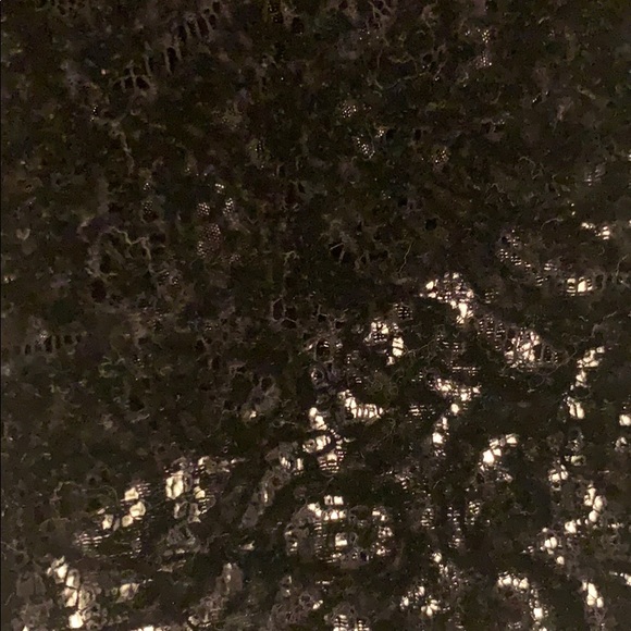 Wide leg velvet lace pants by Free People - Picture 3 of 4